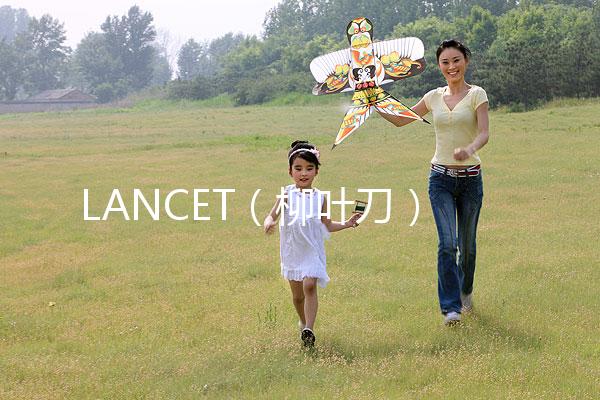 LANCET(柳葉刀)發(fā)表中國學者最新研究成果:“第二代試管嬰兒”技術并不能顯著提高子代活產(chǎn)率醫(yī)藥新聞