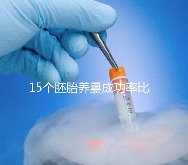 15個胚胎養囊成功率比想象高，只成了1個不正常要警惕