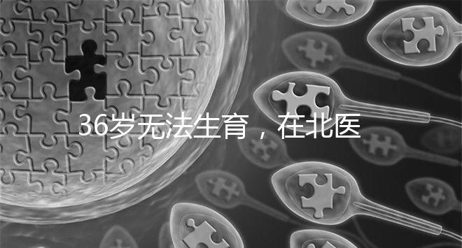 36歲無法生育，在北醫三院做人工授精成功率有多少？