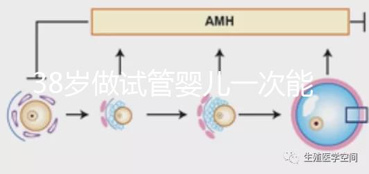38歲做試管嬰兒一次能成功嗎？提前準(zhǔn)備好這4點(diǎn)或許可以