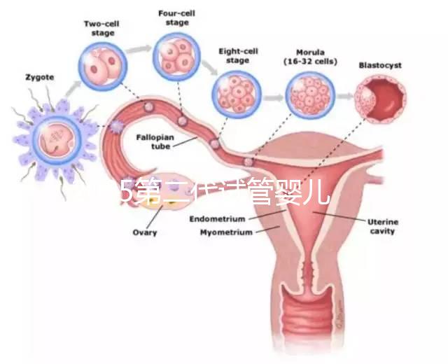 2025第二代試管嬰兒全流程解析:從檢查到移植各階段費用數據揭秘
