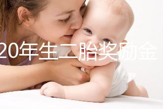 2020年生二胎獎(jiǎng)勵(lì)金額揭秘，符合條件的媽媽可以領(lǐng)取了！
